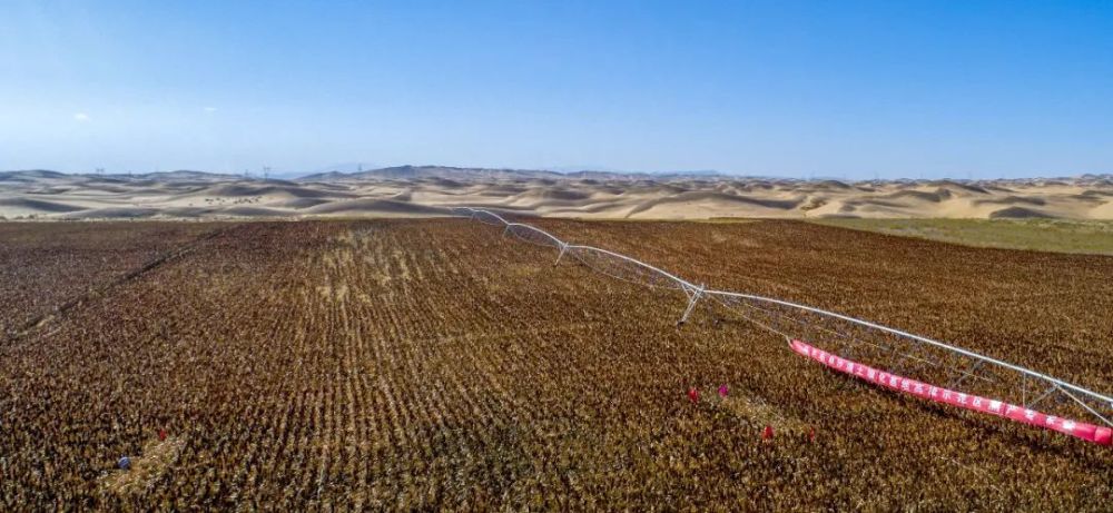 2019年5月11日,在新疆和田塔克拉玛干沙漠重庆交通大学"沙漠土壤化"中