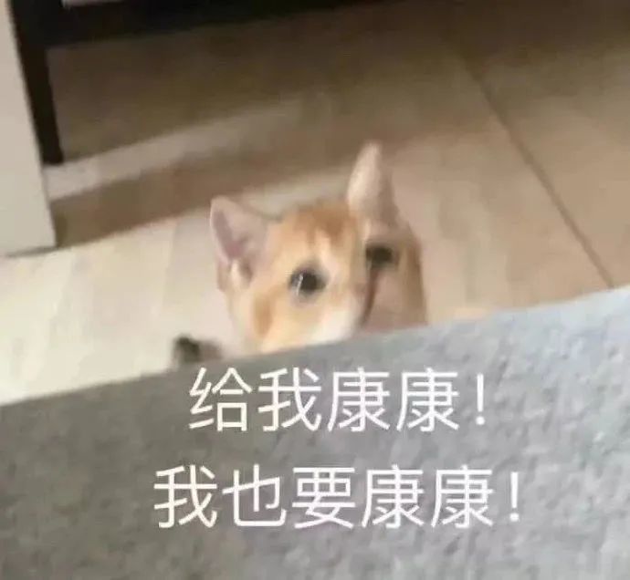 戴屋庄人口_人口普查