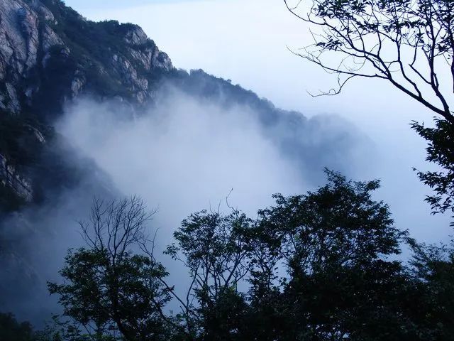 此时嵩山漫漫白雾, 就像一层薄薄的白纱, 放眼看去, 云雾在半山腰