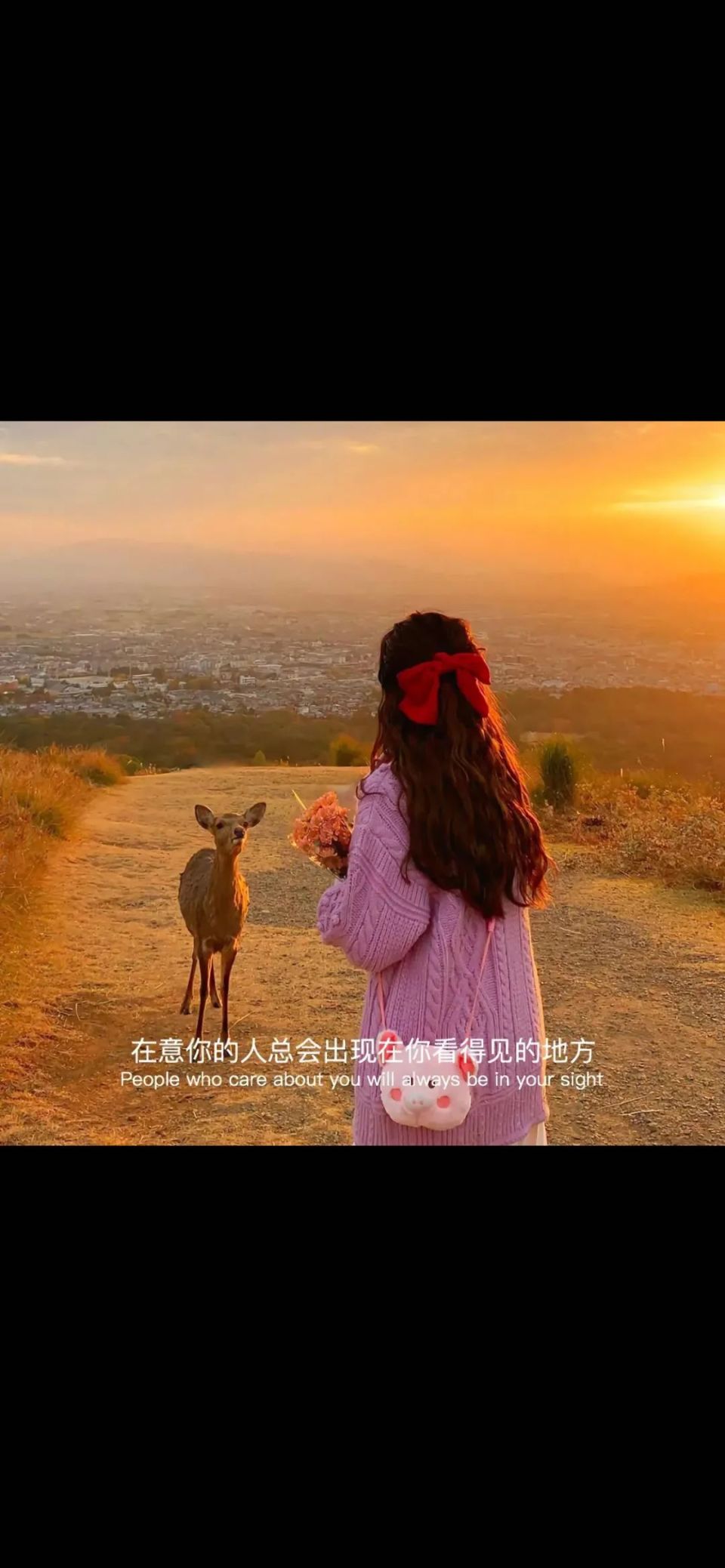 手机壁纸|但因热爱,愿迎万难!