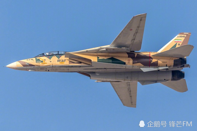 也有aim-9响尾蛇近距离格斗导弹,此外 f14战斗机还装备有m61机炮