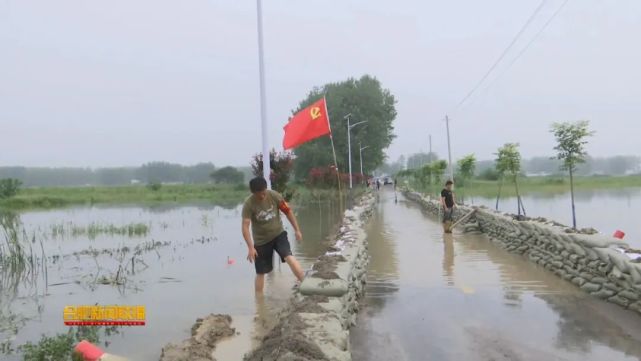 在长丰县各个保庄圩的圩堤上,水务系统的基层水管单位党员和属地镇村