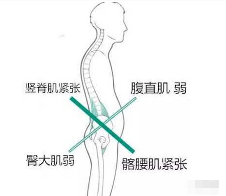 张子枫艺考落榜因为体型不好你敢信？看到拿第一的撞脸小花才知道她输在这…