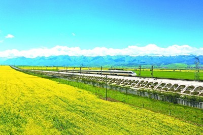 7月12日,兰新高铁一列动车高速驶过青海省门源县油菜花海.