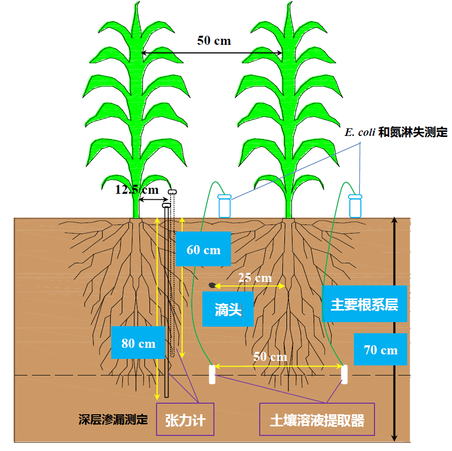 李久生研究员团队再生水安全高效灌溉关键理论和技术的系统突破