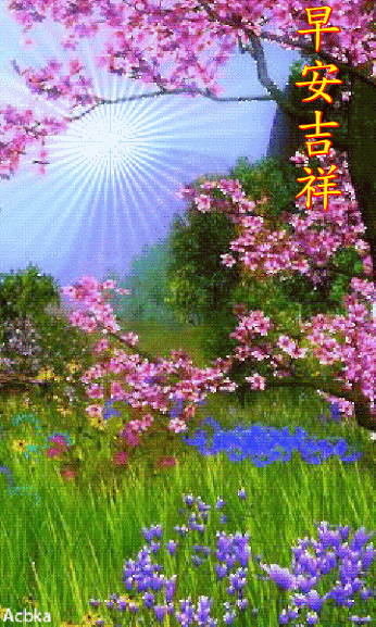 20201114周六愉快《早上好》