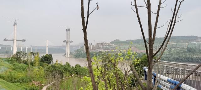 2020樟树gdp