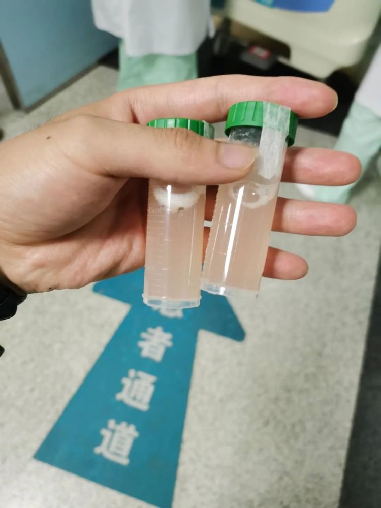 被洪水卷走的他醒了！病床前这一幕让网友泪奔