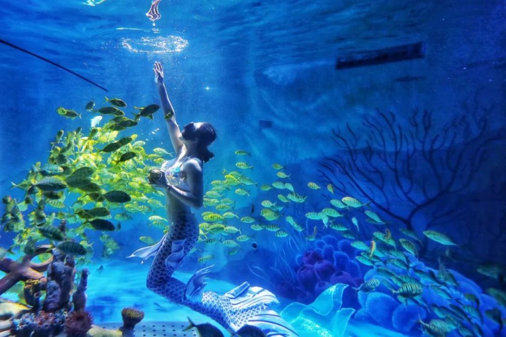 暑假去哪儿玩?在蓝色海洋梦幻深处拍了拍南京海底世界