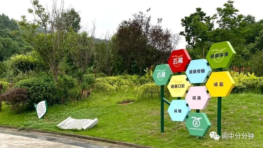 【点赞】阆中首个健康主题公园落成