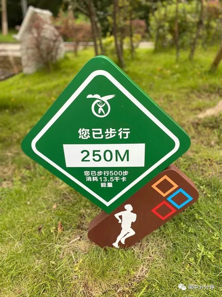 【点赞】阆中首个健康主题公园落成