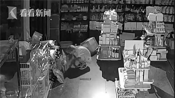 情有独钟？三男子深夜潜入宠物店 偷走“心爱”小蓝猫
