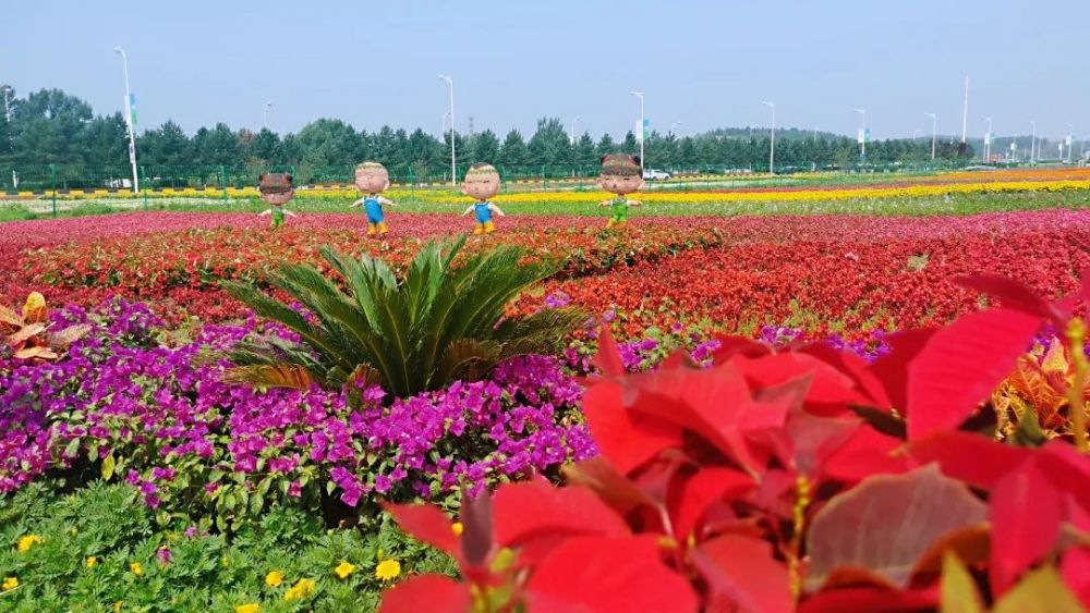 "莲花山第三届花海艺术节" 莲花山花海坐落在 长春莲花山生态旅游度假