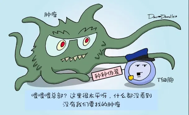一文读懂多发性骨髓瘤如何应用car-t治疗