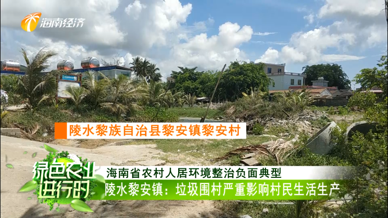 陵水黎族自治县黎安镇黎安村 村民:几年了.