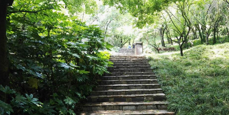 斗门黄杨山将建设登山步道,路线全长2.4公里!