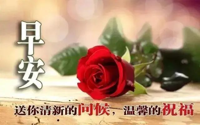 6月13日最新早上好动态祝福表情图片,温馨的早上好句子问候祝福语