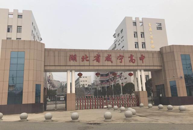 咸宁2020年高考喜报公布,鄂南高中理科最高695分,获市