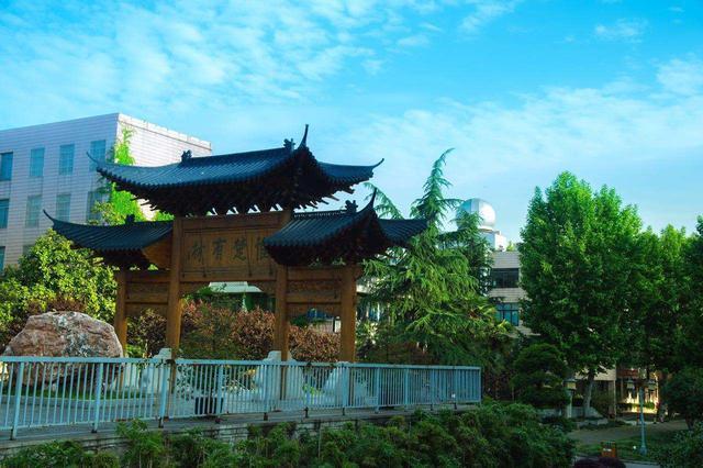 武汉2020年高考喜报,二中揽获市文科状元,武昌实验中学获区状元