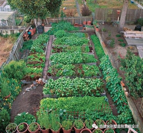 把菜园当景看,15个庭院景观菜圃,收获满满的幸福--豪宅自建房别墅农村