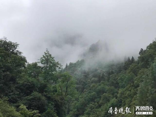 蒙蒙细雨中,水墨鹅嫚沟