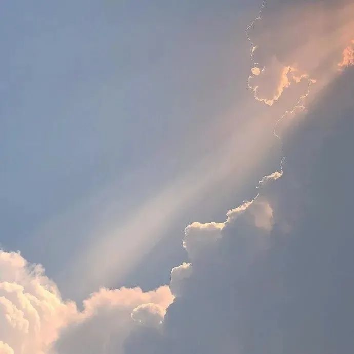 温柔到爆的神仙文案