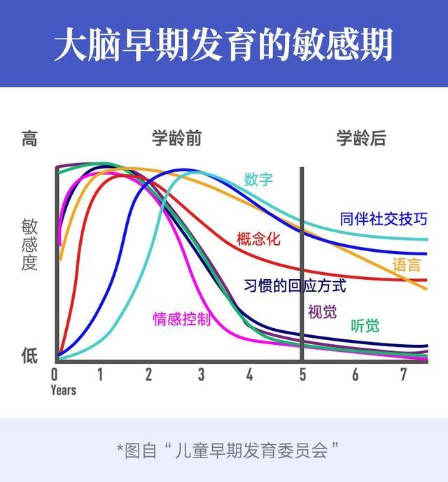 如何把握大脑发育窗口期,让孩子更聪明?从不给孩子吃甜食开始