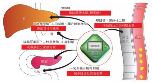 糖尿病人口重_早期糖尿病足图片