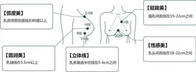 也可能是穿了罩杯小的内衣导致胸部外扩