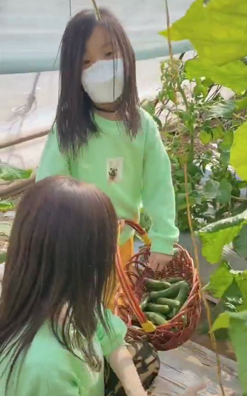 李小璐母女摘草莓,甜馨个子快到妈妈肩膀,眉眼越来越