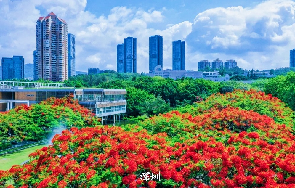 我国1个城市，40年前一分为三，如果合并将超过上海