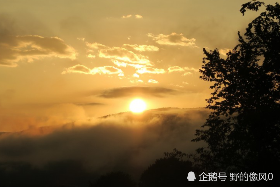 八月开始:事业顺风,前途一片光明,财如雨下的生肖