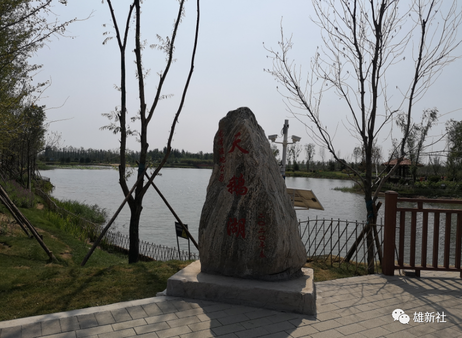 很早以前就听到了胡各庄有天鹅湖公园,抖音短视频里也经常看见