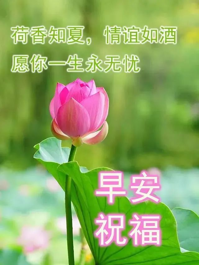 640_853 竖版 竖屏