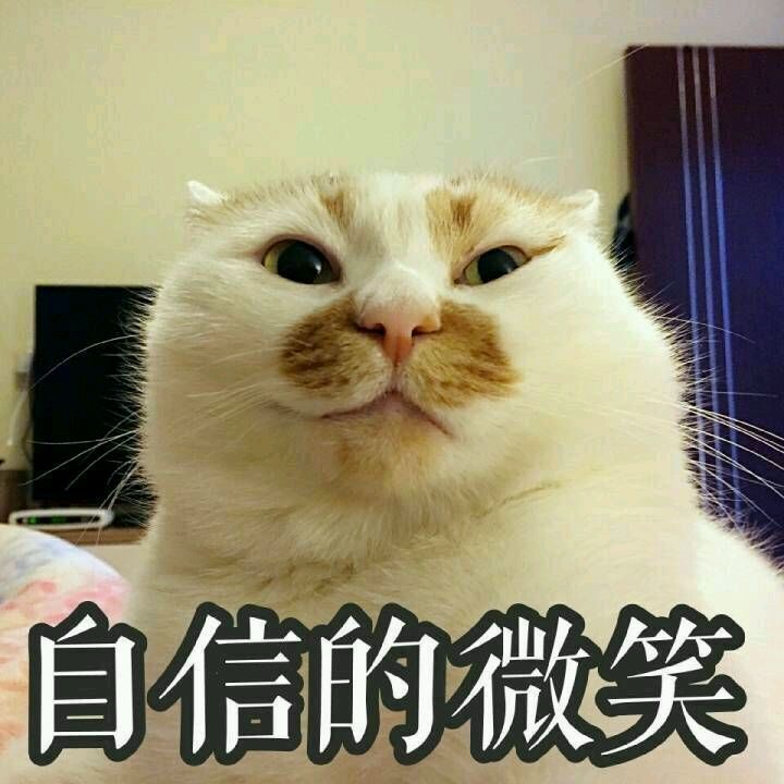 可爱猫咪表情包,等等我有话说