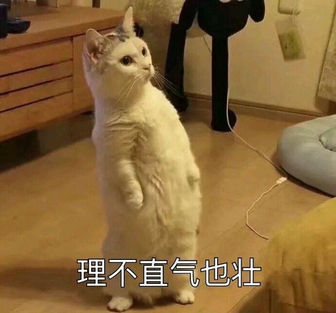 可爱猫咪表情包,理不直气也壮