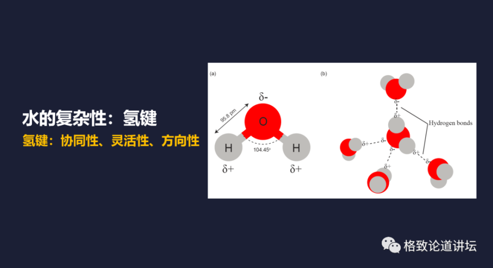 这三种特性导致 水会形成非常复杂的网络结构,称为 氢键网络.