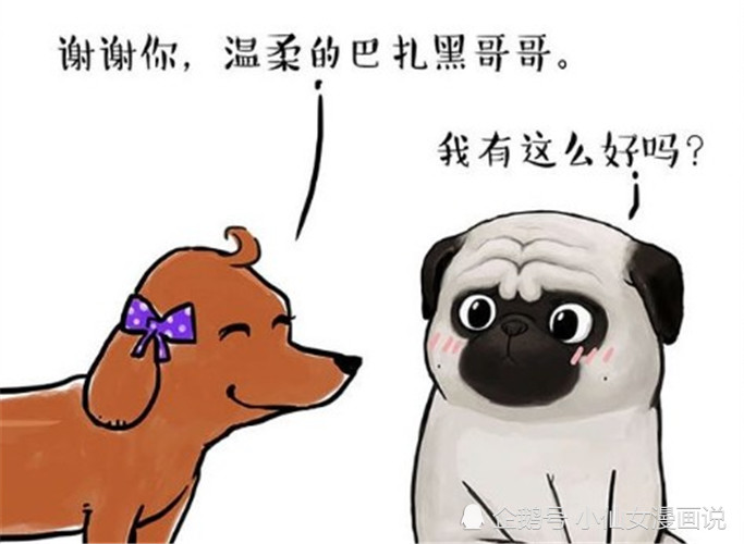 轻松一刻:大妮玩得很开心,还想下次和巴扎黑一起玩,狗