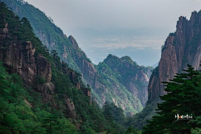 雨雾天登黄山，住马云同款民宿，和“锦鲤”信小呆在迎客松下合影