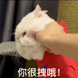 猫猫表情包|你在偷偷想男人吗