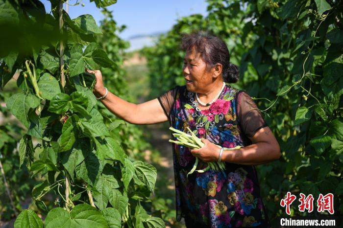 山西一贫困村到红色旅游村的蜕变：曾经不通水，如今家门口挣钱