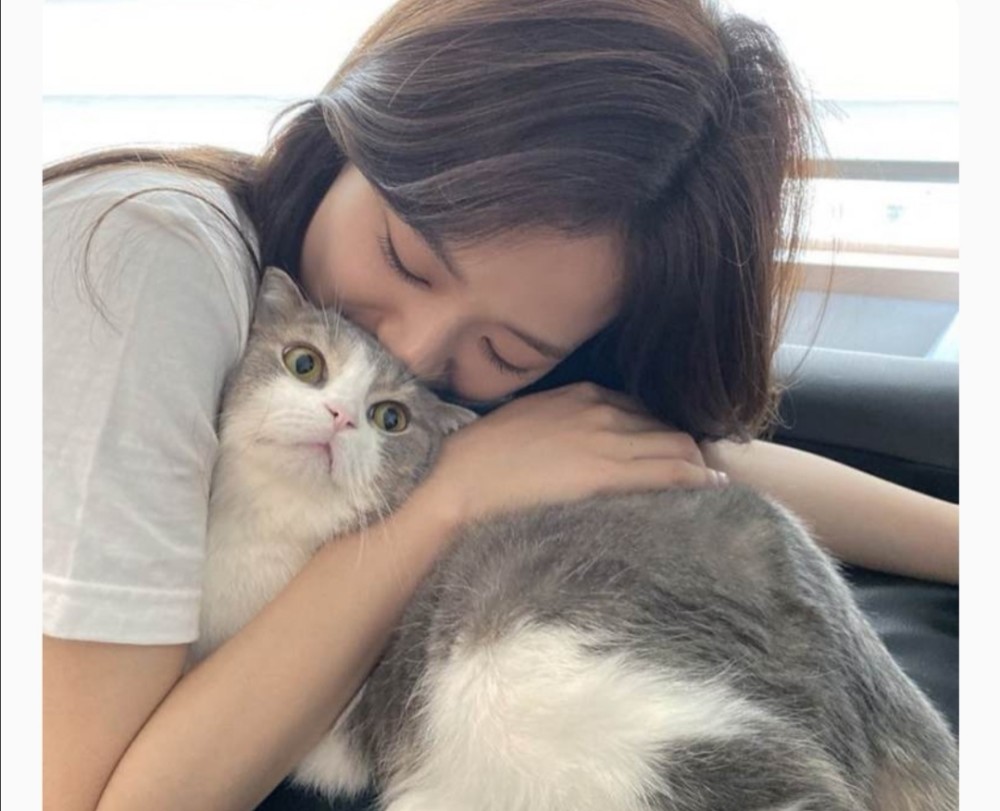 "猫奴"lisa和她的猫猫们