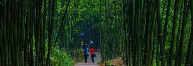 赤水丹霞:2017贵州旅游景点最值得神往的地方