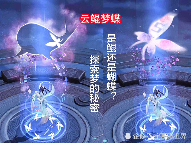王者五周年回城特效云鲲梦蝶最漂亮配上庄周星空鱼真是美哭了