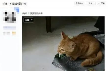 毒死主子和热死男朋友你选哪个？主子：总有刁民想害朕！