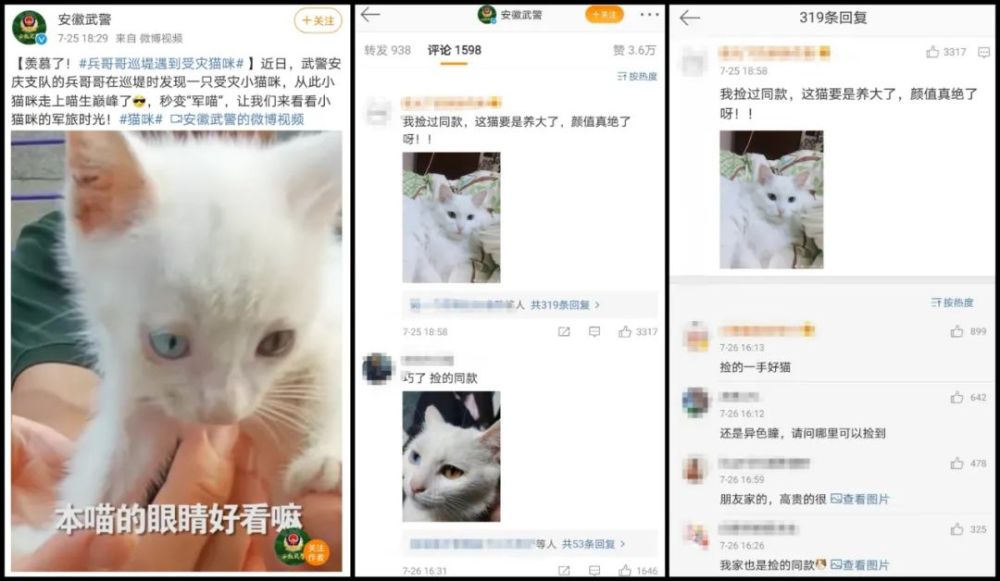 异瞳猫的眼睛有什么秘密？混元珠和异瞳猫有什么关系？