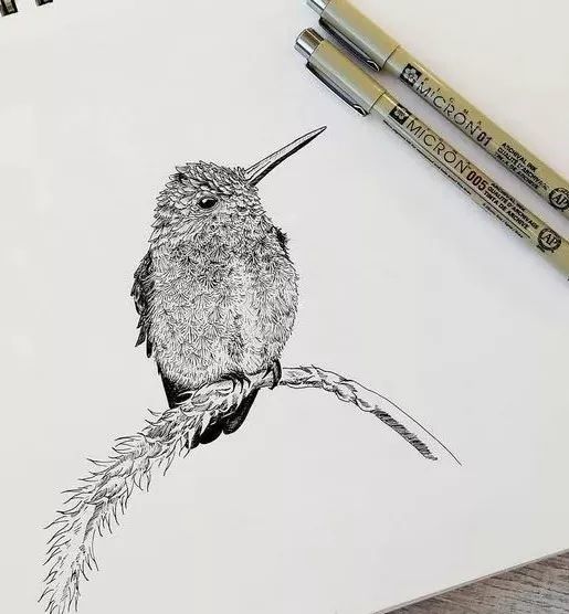 写实动物黑白插画作品赏析