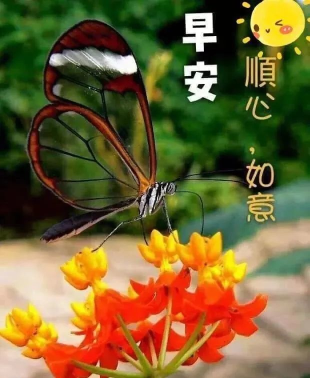 07月28日早安问候每日一祝