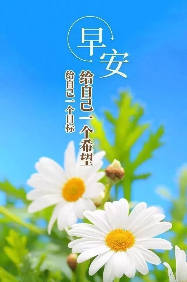 清晨早安问候祝福语说说早安心语暖心句子