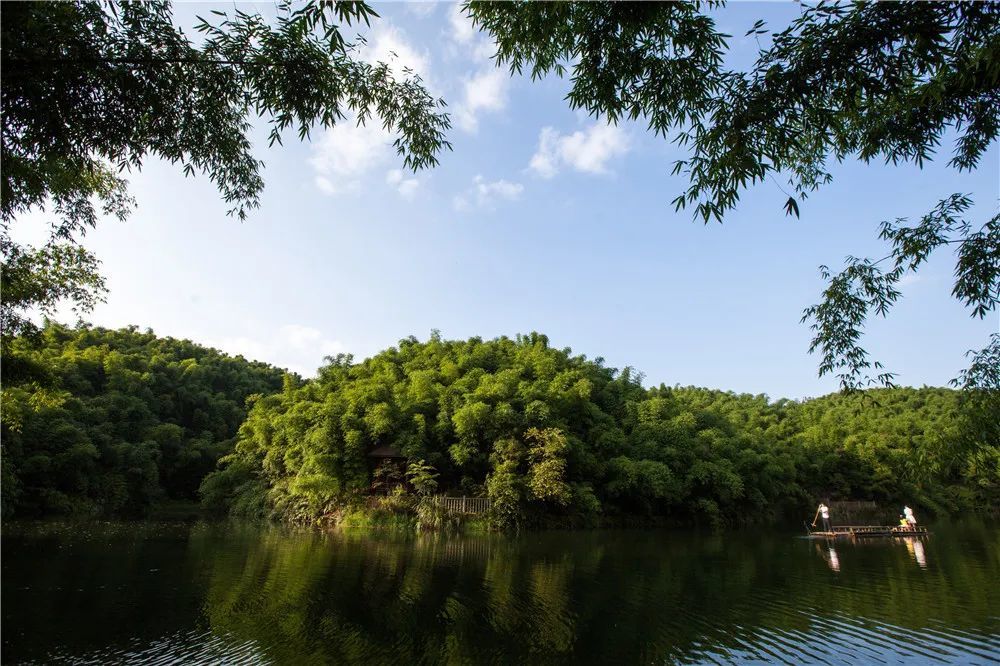 茫茫竹海,绿浪滚滚……来"中国天然氧吧"沐川寻清凉吧!